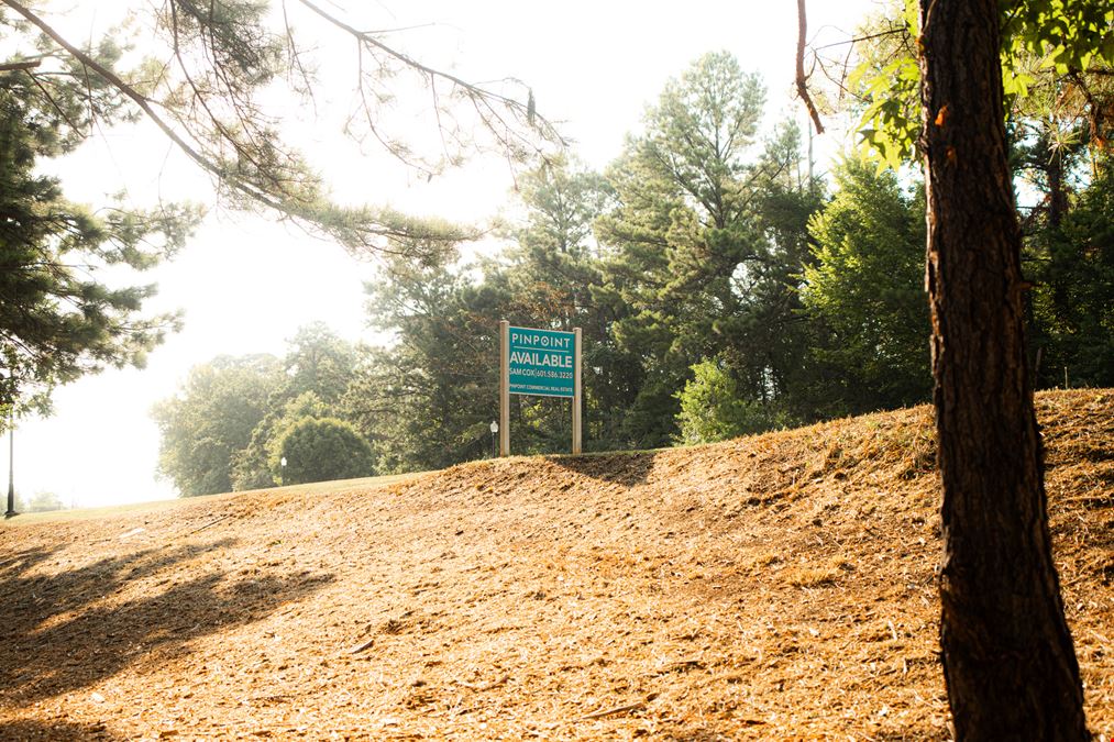 Highland Colony Parkway & Park Place - Corner Lot
