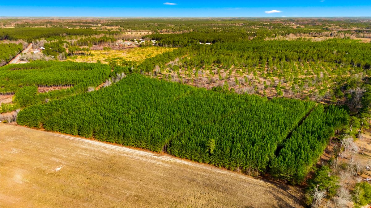 Development Opportunity - 127 Acres, Loris, SC