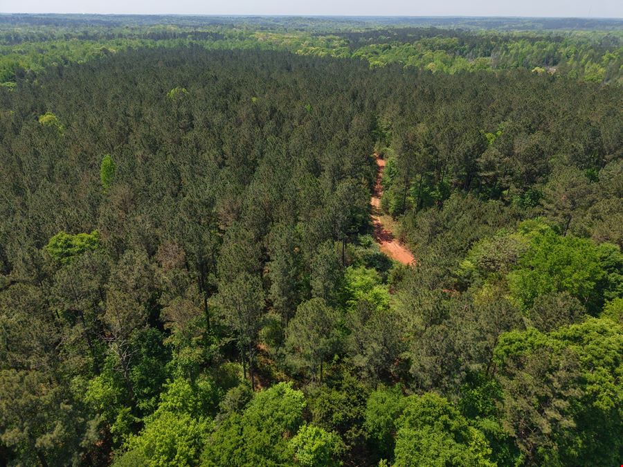 225.48 Acres - Picketts Bridge Estates