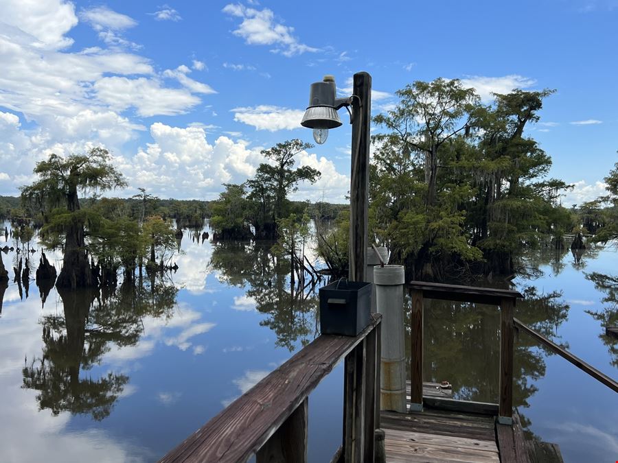 765 Acre Dead Lakes Tract Gulf County