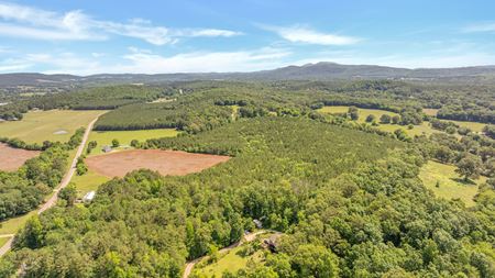 Preview of VacantLand space for Sale at County Road 29