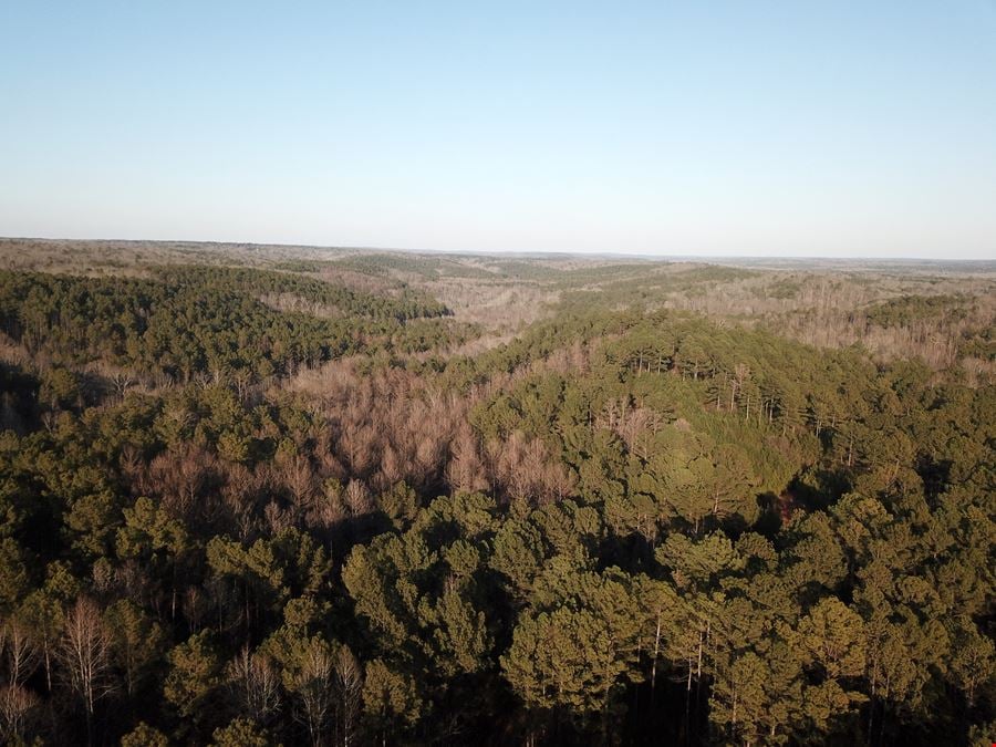 Mt Zion Road - 34.26 Acres