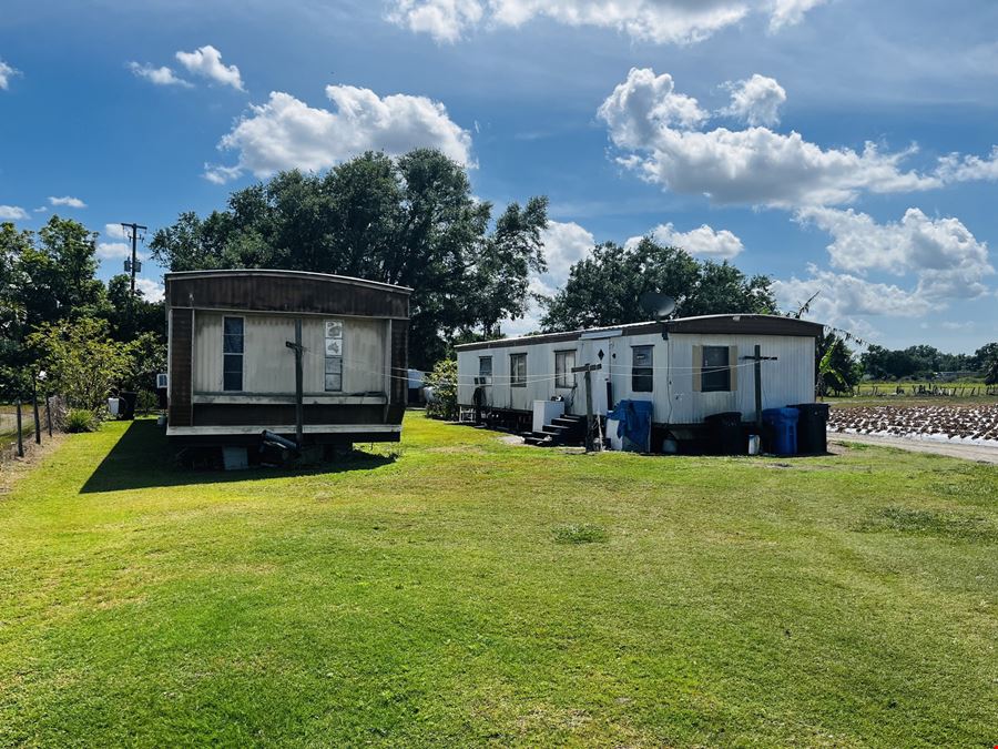 Springhead 17 Acre Strawberry Farm