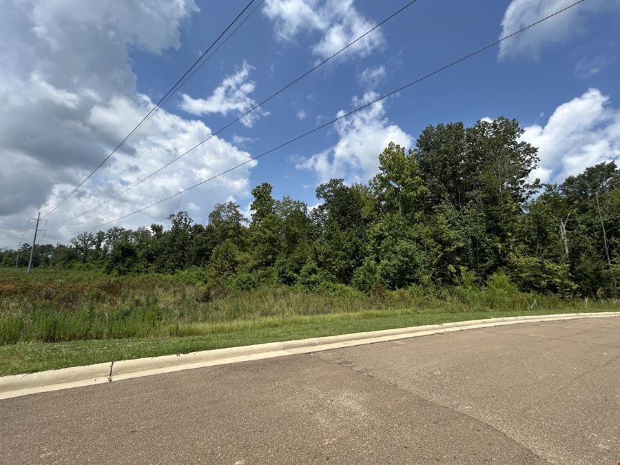 6.02 Acres Lakeland Drive