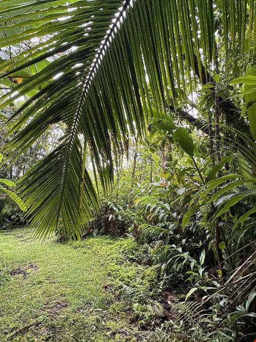 Hana Highway, Hana, HI 96713