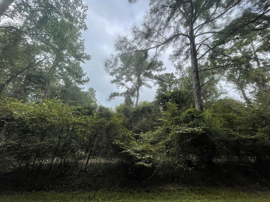 10ac in Magnolia/The Woodlands