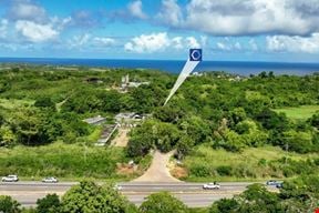 Commercial Development Land - Former Bosque Verde Motel - Isabela