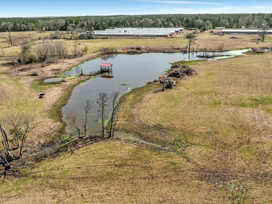 Breeder Farm In Marshall