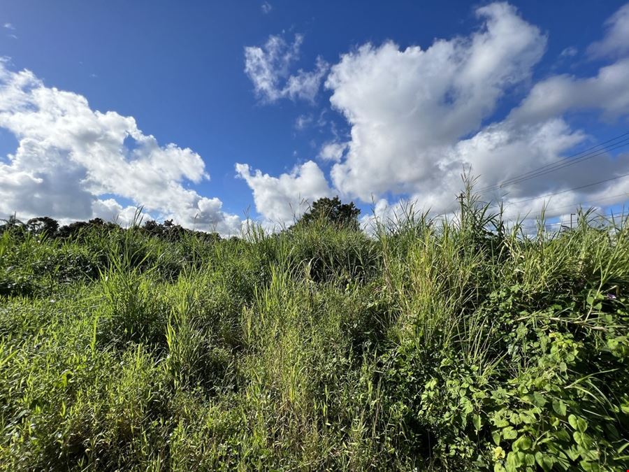 Las Piedras Industrial Park - Vacant Lots 12 & 13 - For Sale