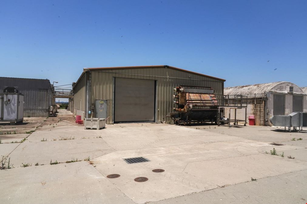 Cultivation Facility ±53,000 SF High Bays