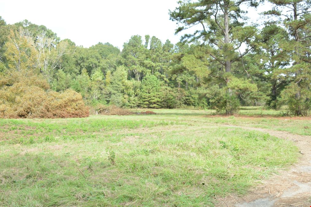2941 Louisiana 19
