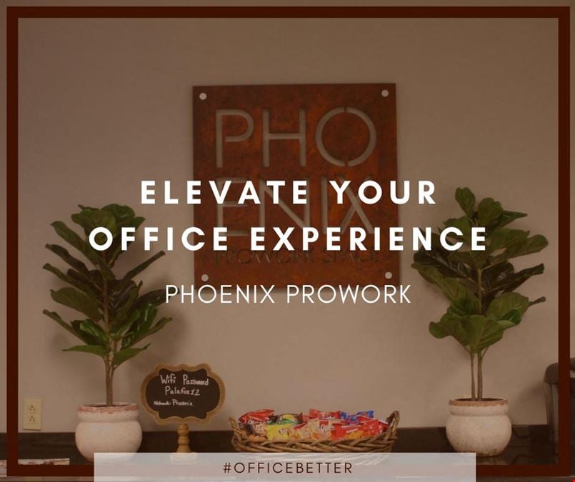 Phoenix Prowork Nobles