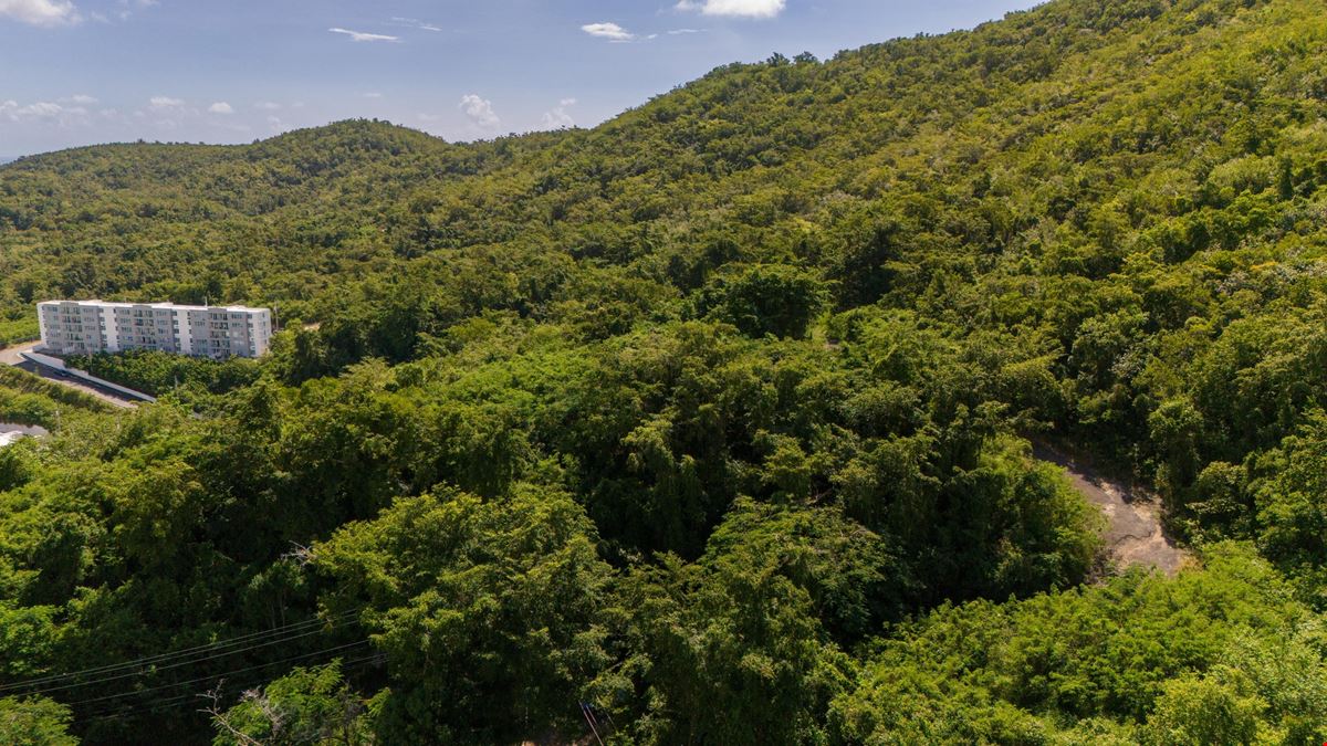 Ponce Agricultural 18.36 Acre Land @ Canas Ward - For Sale