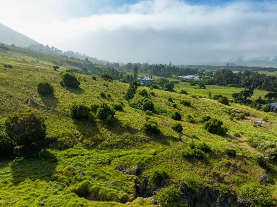 Waimea Residential Development