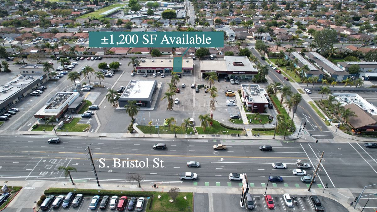 Bristol Palms Center
