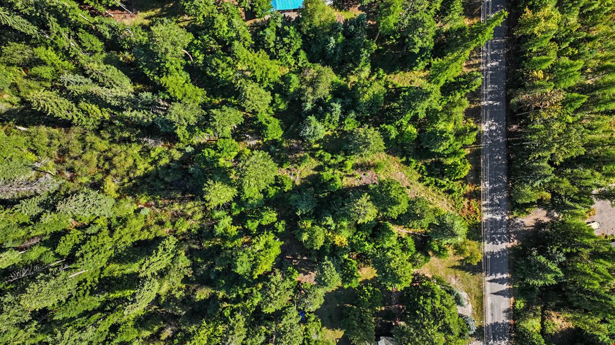 1.5 Acre Lot with Johnson Creek Frontage near Swan Lake