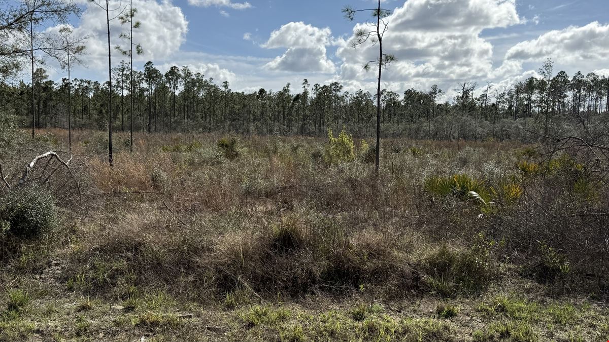 20-Acre  in Altha, Fl -AG Zoned with Development Potential