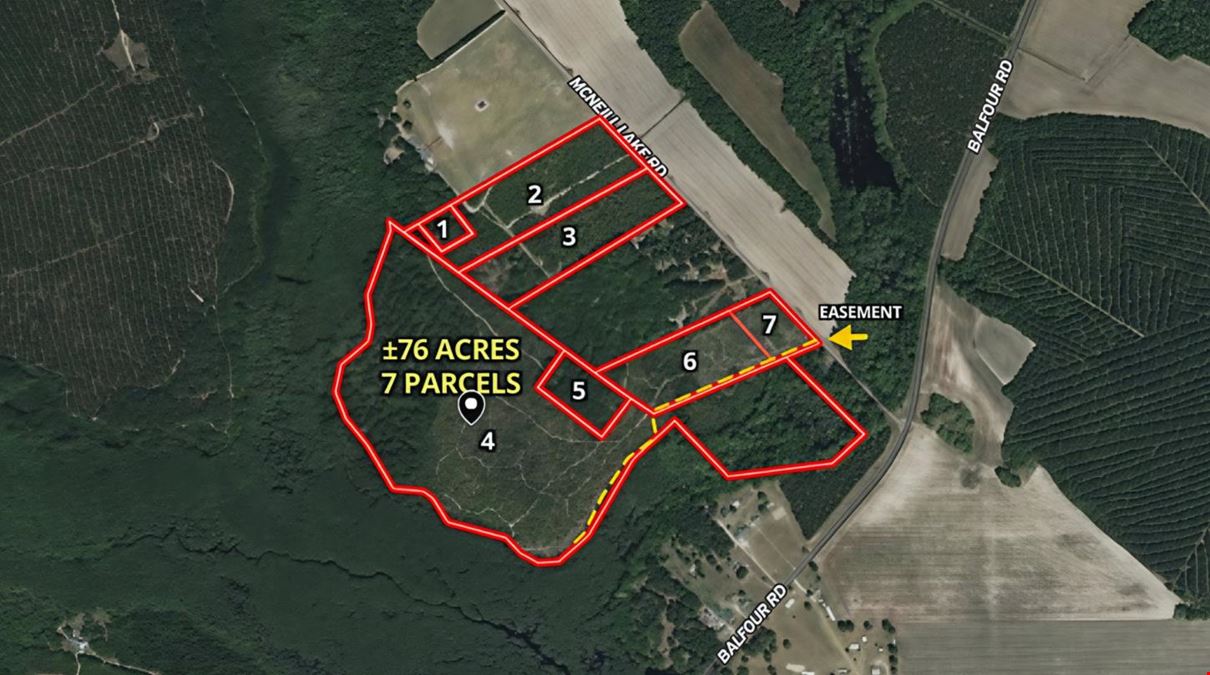 ±76 Acres McNeill Lake Rd
