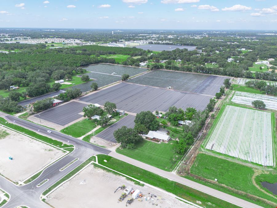 Trapnell Residential Development