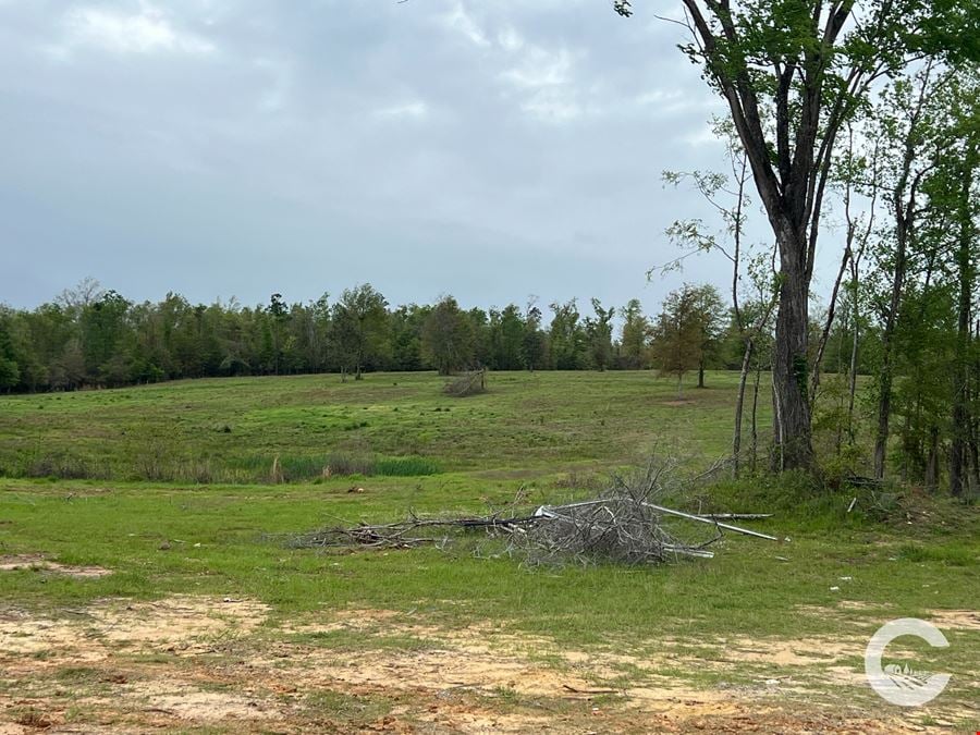 23.87 ± Acre Development Land - Marianna, FL