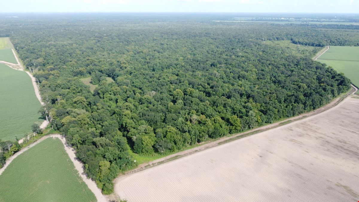 Recreational & Hunting Tract
