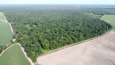 Preview of VacantLand space for Sale at Highway 411