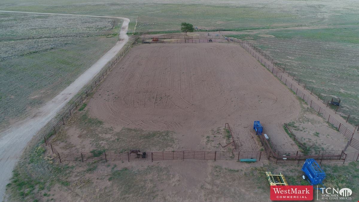 West Texas Horse Property/Cattle Operation Investment Opportunity