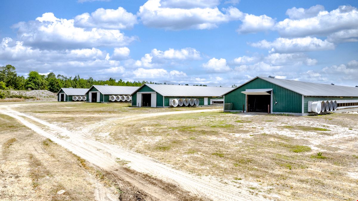 Timber Ridge Farm - Poultry and Homeplace Package