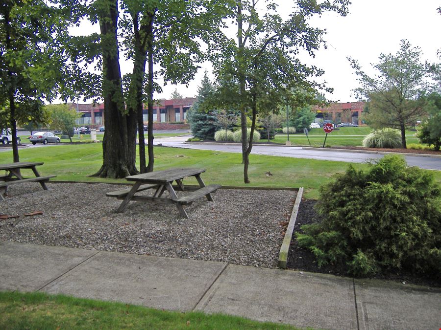 Treeline Business Park