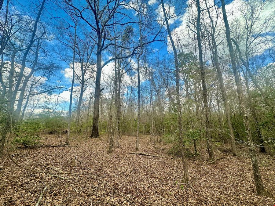 Everly Place Homesite