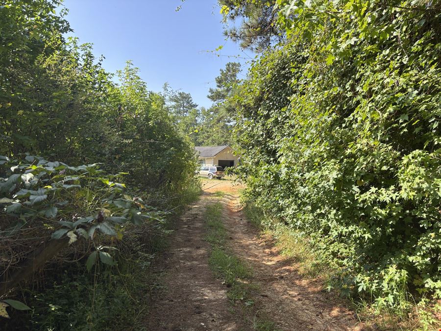 8500 Cedar Grove Road - 18.2 Acres