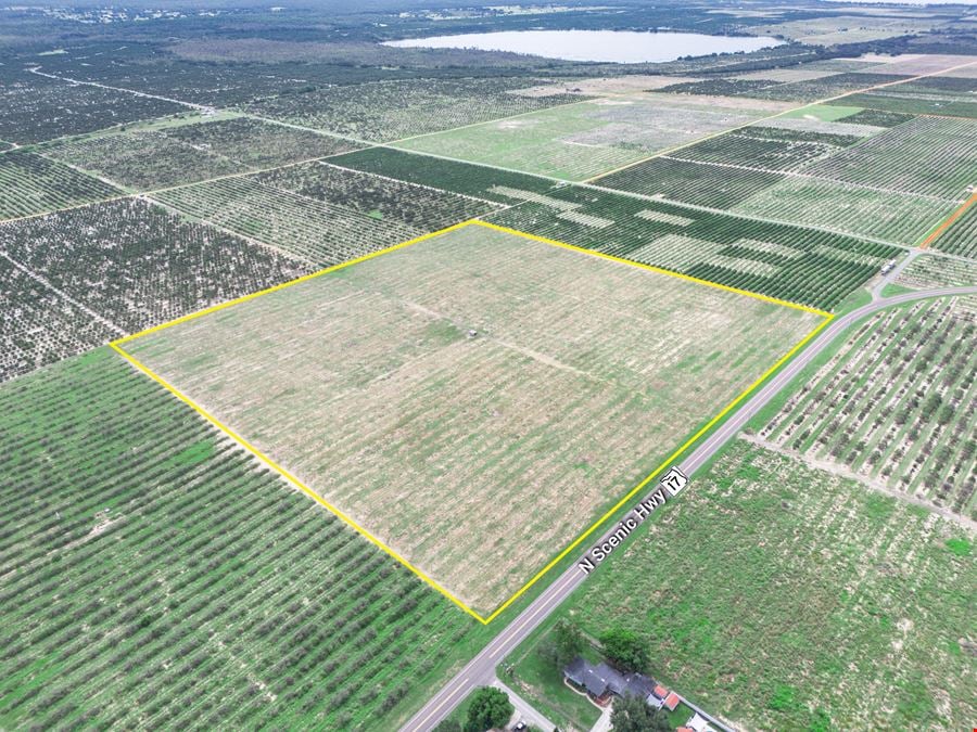 Scenic Highway Frostproof 39 Acres