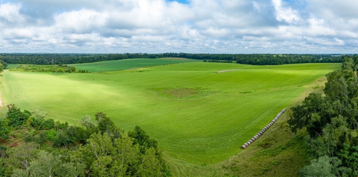 Lake Rachel Ag Land