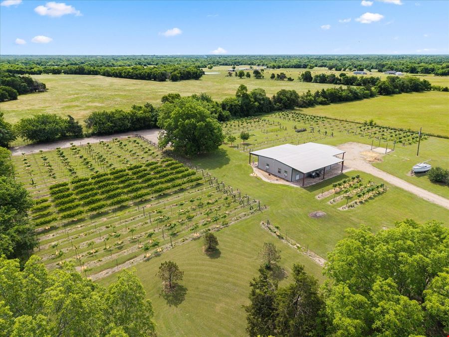 445 County Road 4742