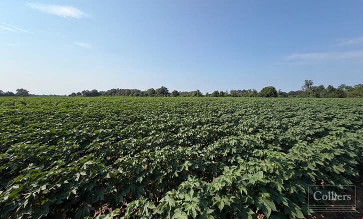 ±46.96-Acre Recreational & Residential Tract | Monetta, SC