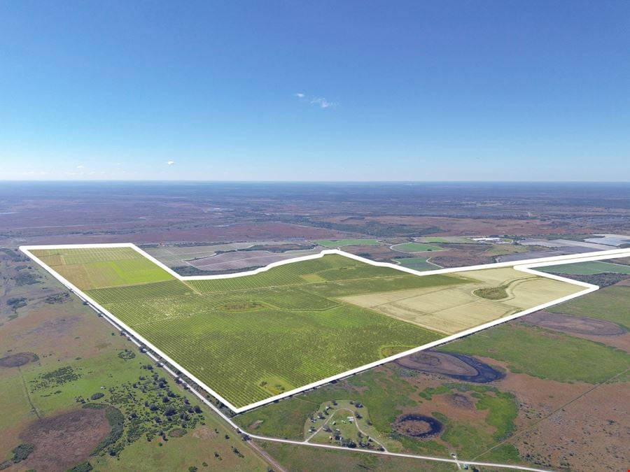 ±742.87 Acres | Osceola County, FL – Scalable Farm with Ranch History, Wildlife & No Conservation Easement