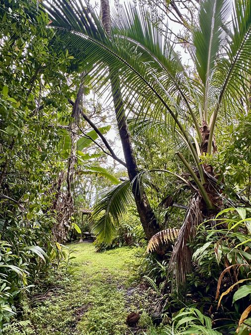 Hana Highway, Hana, HI 96713