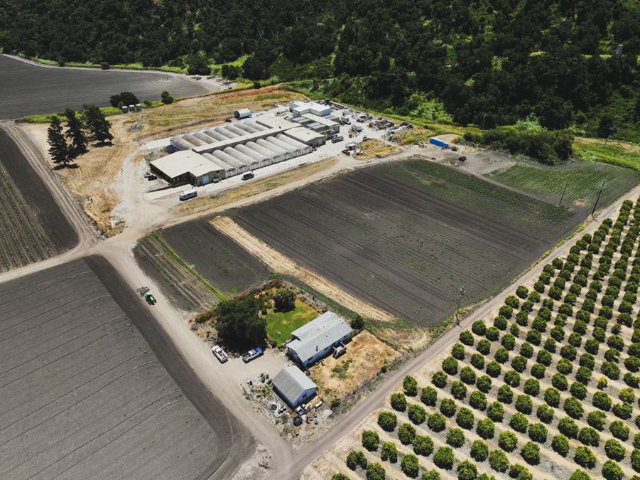 Cultivation Facility ±53,000 SF High Bays