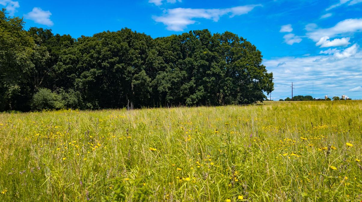Rochester Premier 35 Acre Estate