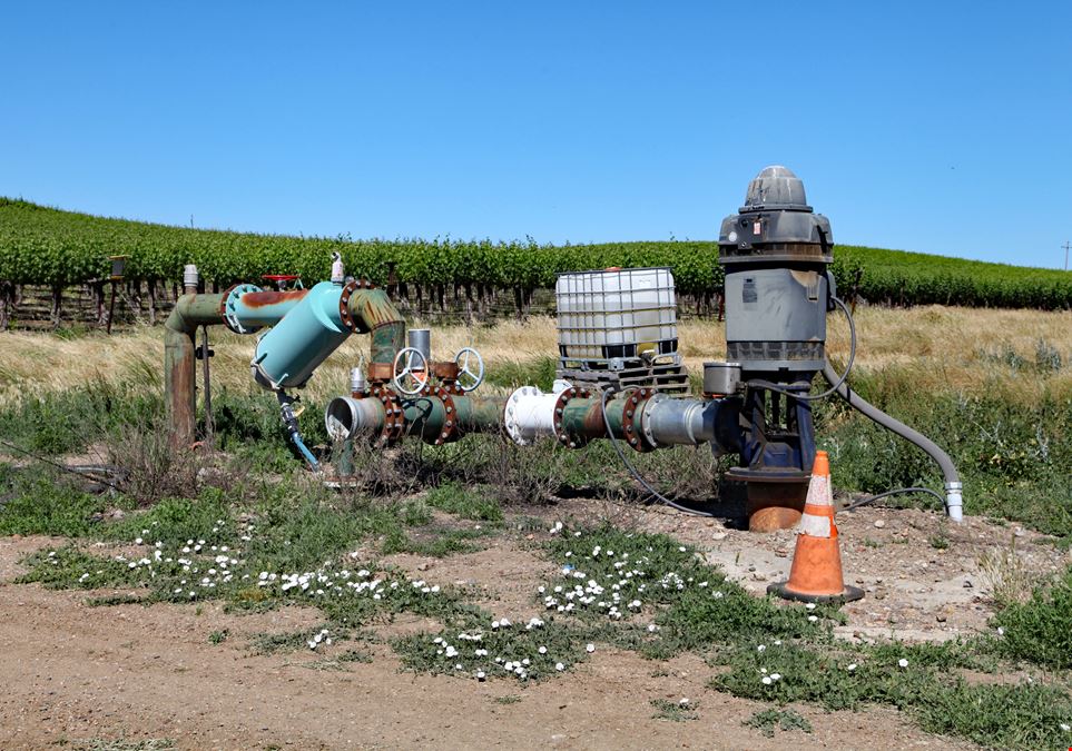 Pheasant Glen Vineyard