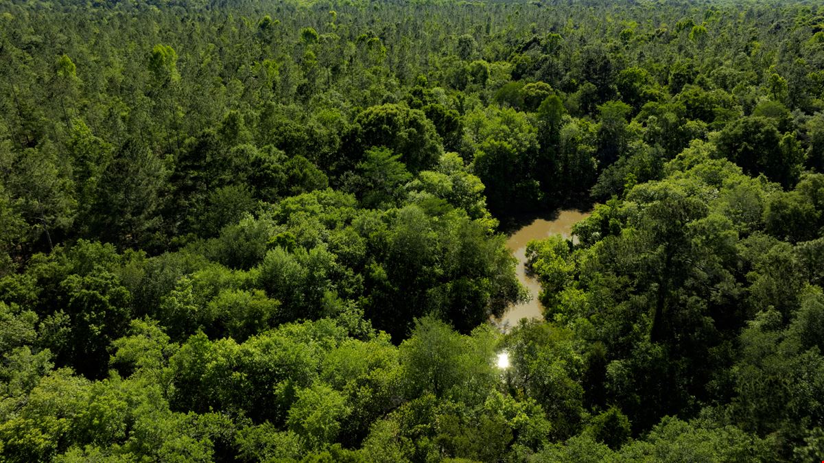 Raccoon Creek Hunting & Timber