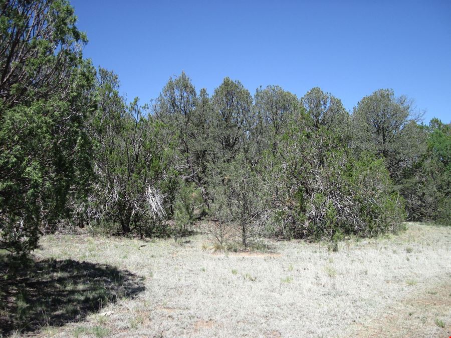 156 Jesse James Rd