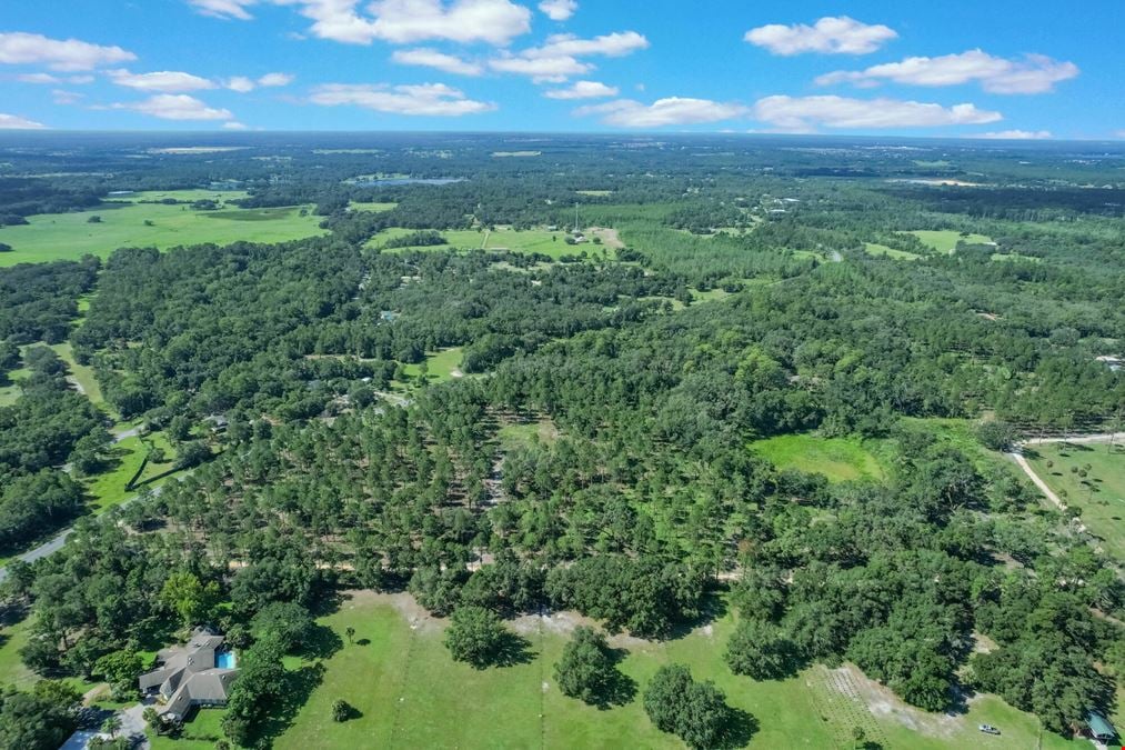 C.R. 439 - 20 Acres