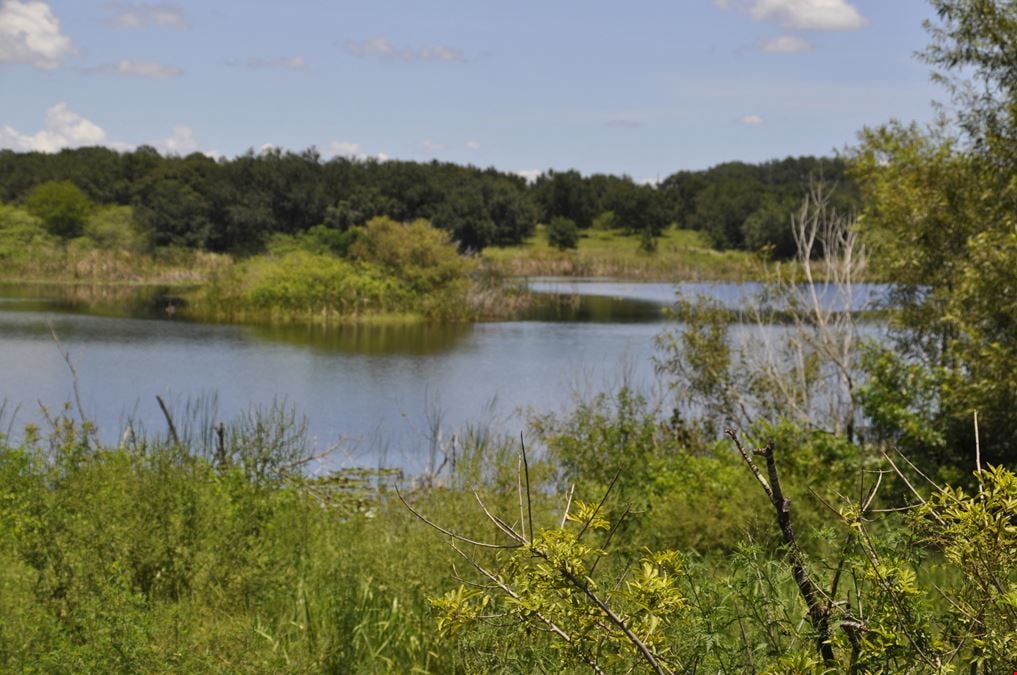 Dundee Lakes Residential Land