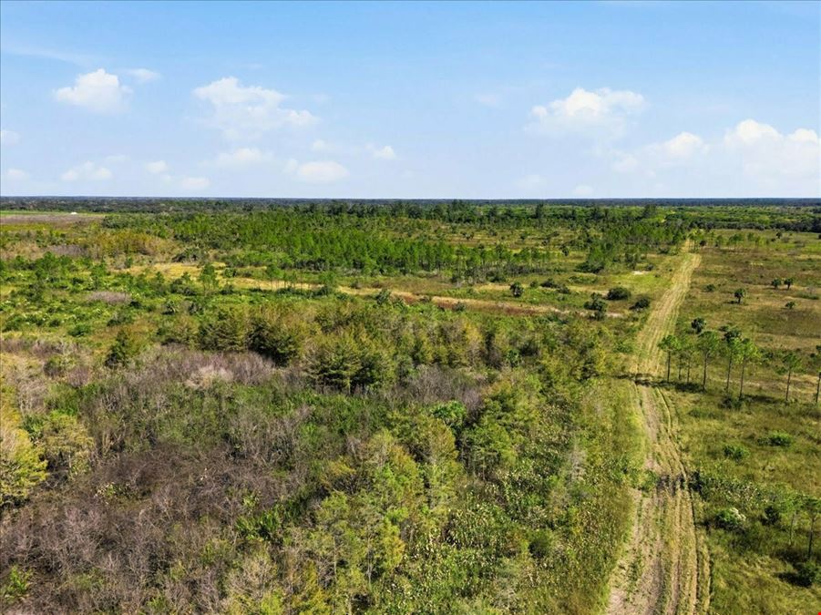 Big Cypress Preserve
