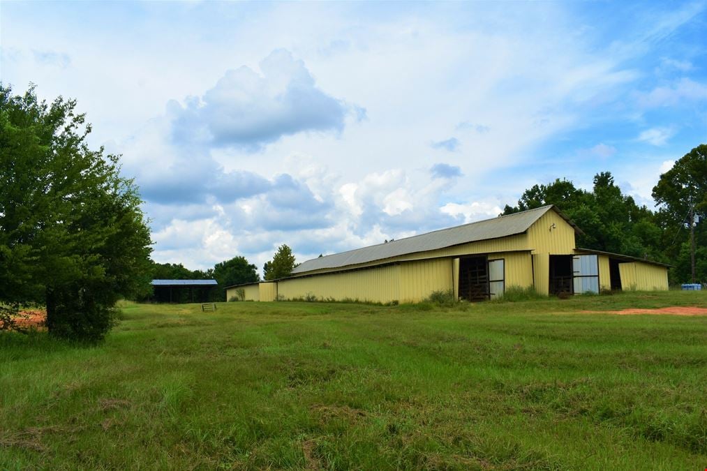 Saddlebrook Farm