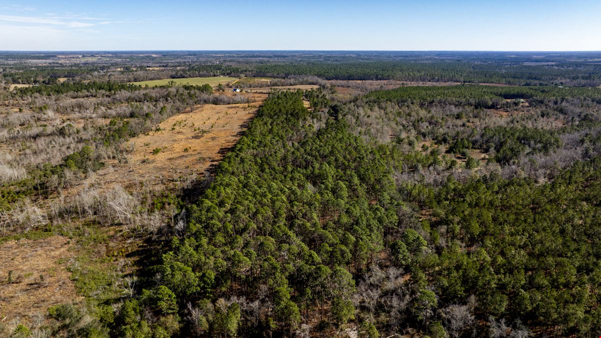 Toombs County 22 ± Acres