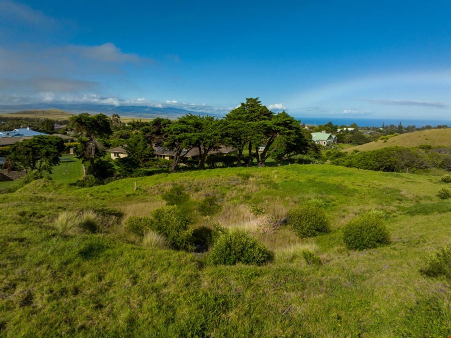 Waimea Residential Development