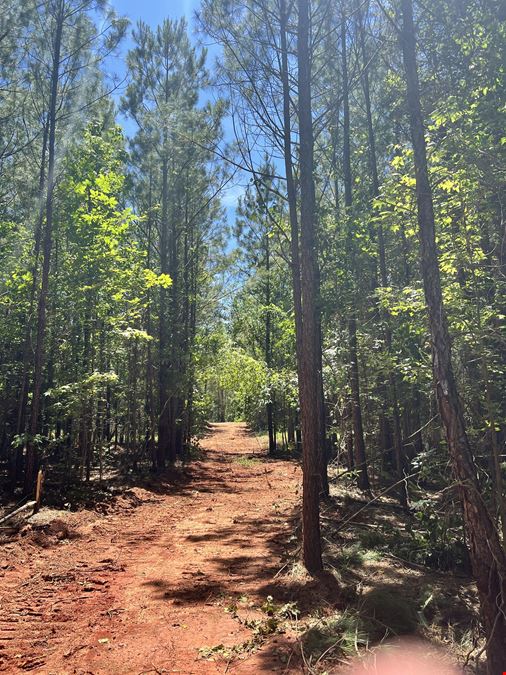 Woods Road Farm Tracts