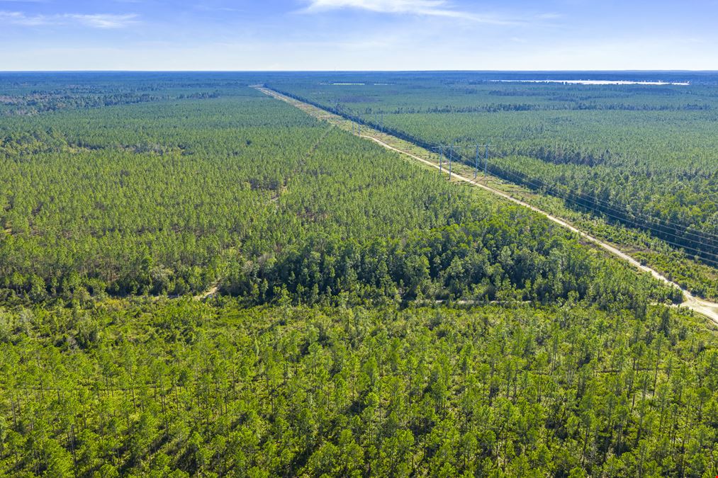 Clay County Timber and Recreation